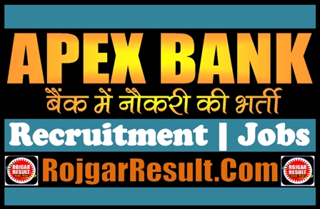 Apex Bank Recruitment 2024