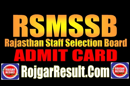 RSMSSB Admit Card 2025