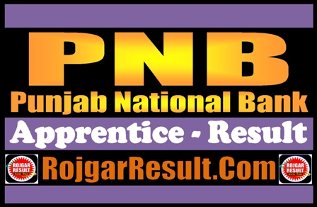 PNB Apprentice Result 2024