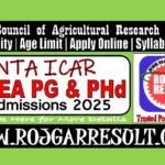NTA ICAR AIEEA PG / Phd 2025 Admit Card / Exam City Details
