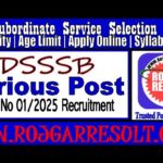 DSSSB Advt No 01/2025 Recruitment