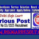 DSSSB Delhi High Court Court Attendant Online Form 2025 for 334 Post